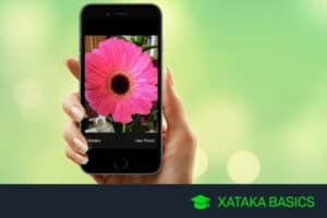 Aplicaciones móviles para identificar plantas con cámara 19 Aplicaciones móviles para identificar plantas con cámara